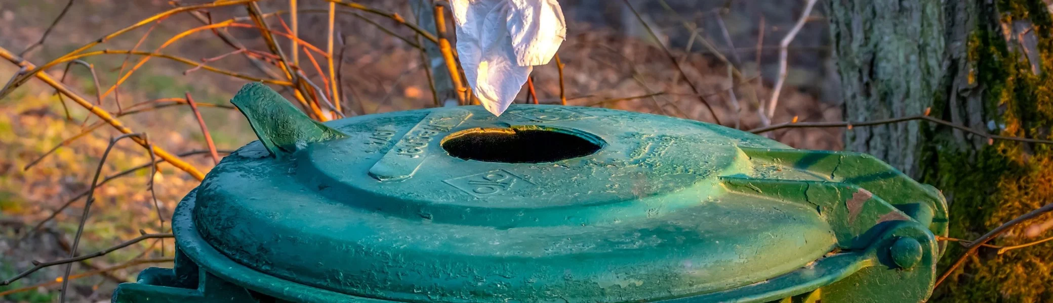 Frühjahrsputz in Gera | © Bild von Tom auf Pixabay 