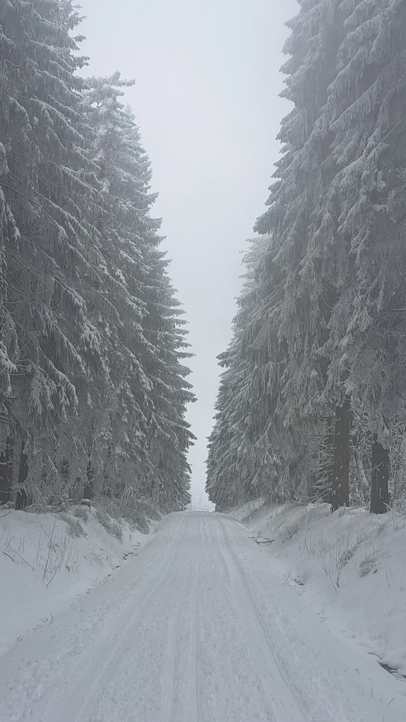 © Karl Lämmer