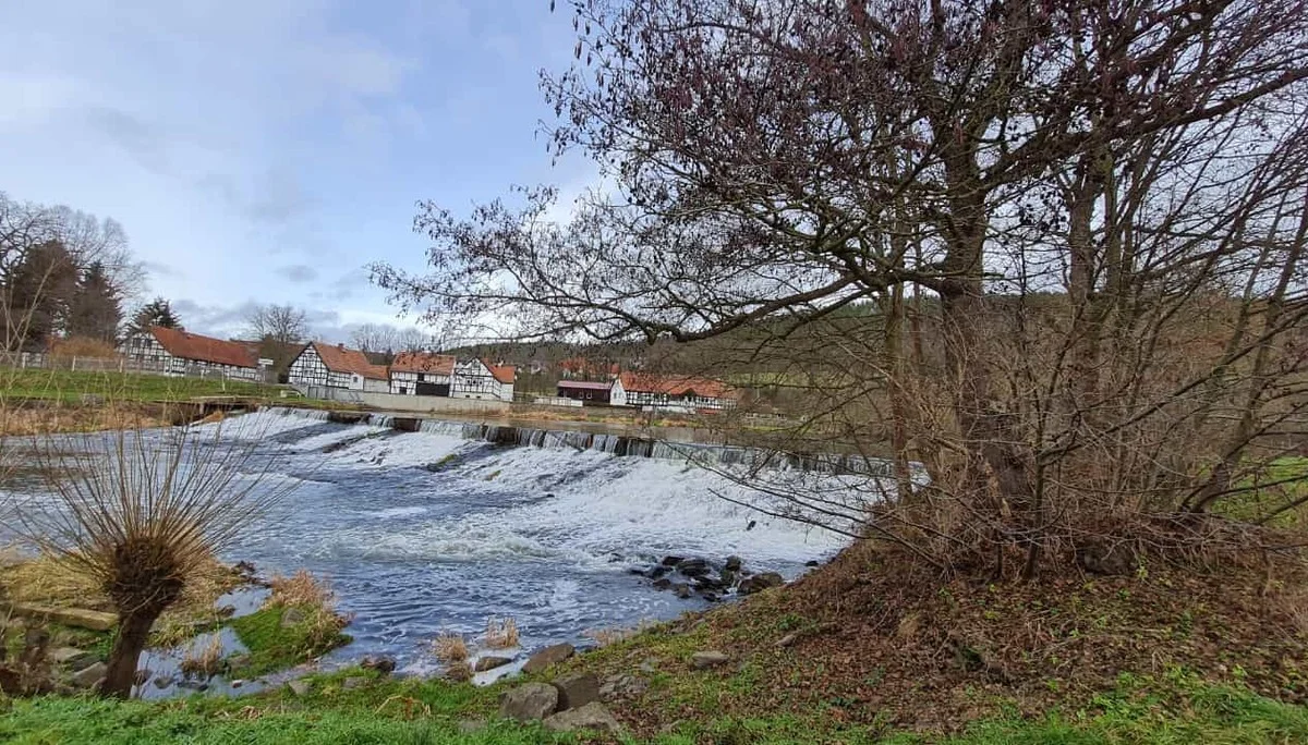 © Marion Proschmann