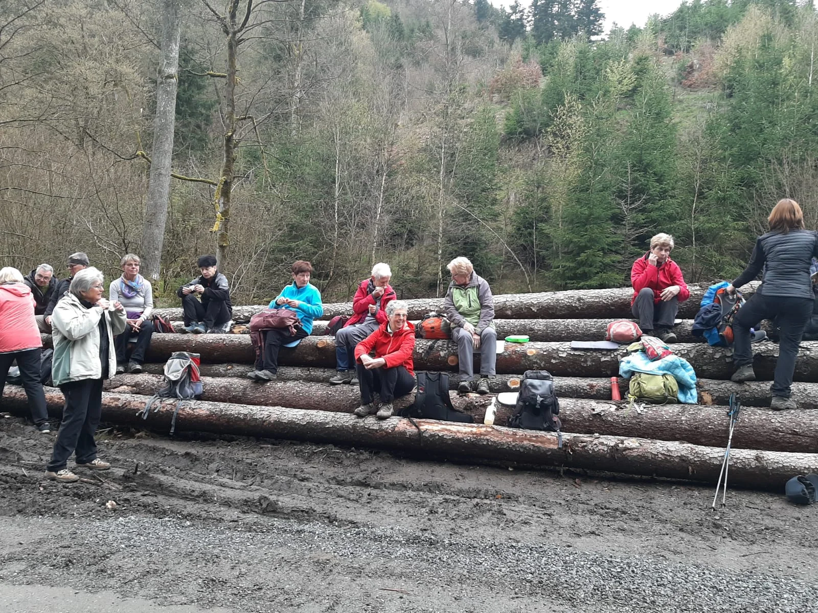 Steigla ruft | © Sabine Trebs