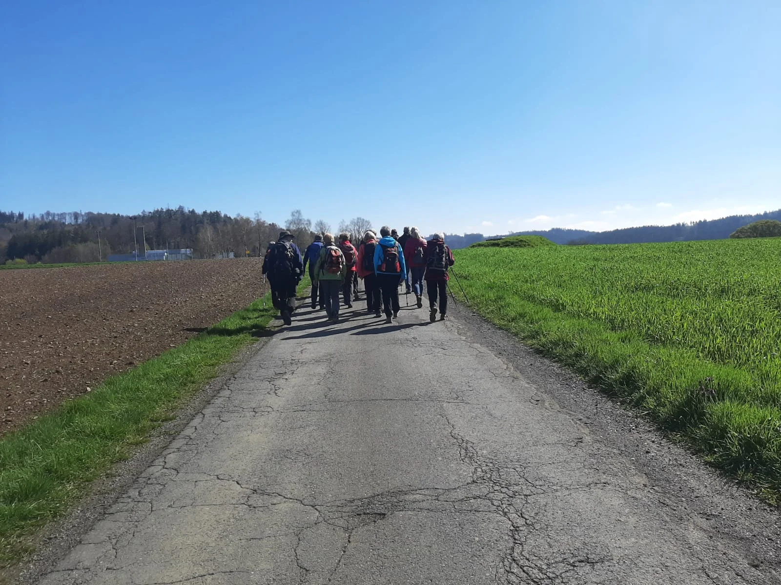 Steigla ruft | © Sabine Trebs