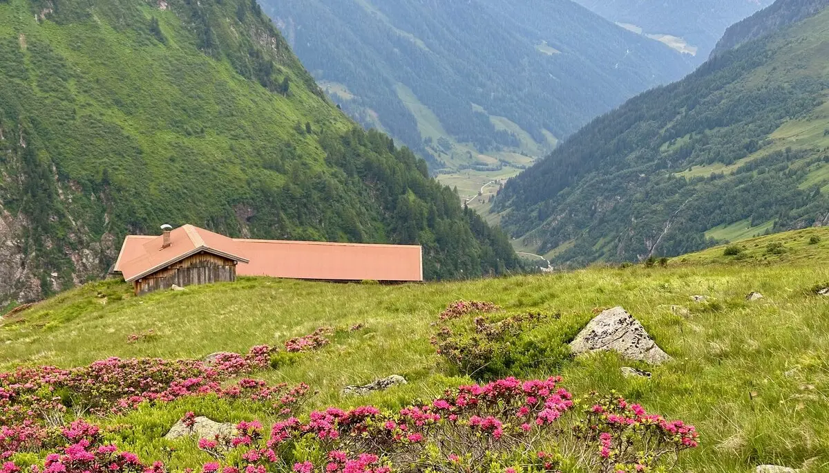 Ochsenalm | © M Gleichmann