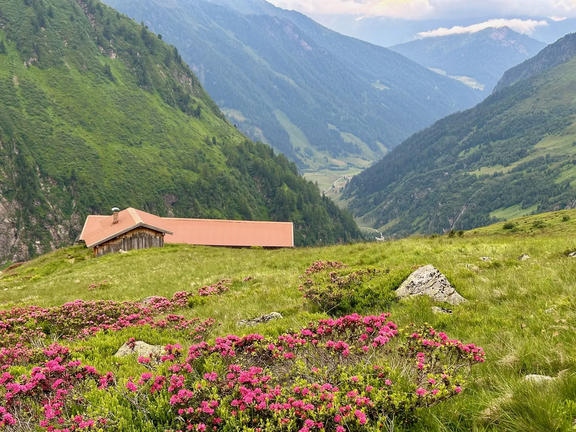Ochsenalm | © M Gleichmann