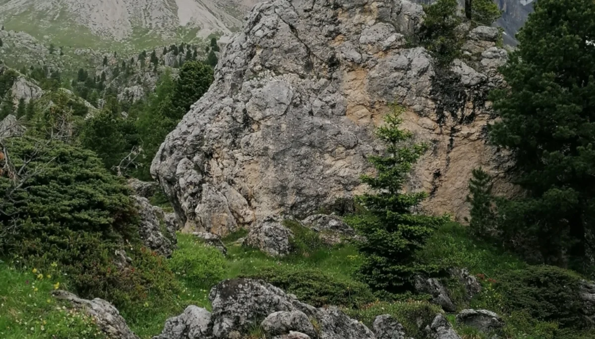 Klettergruppe Gera | © Sektion Gera