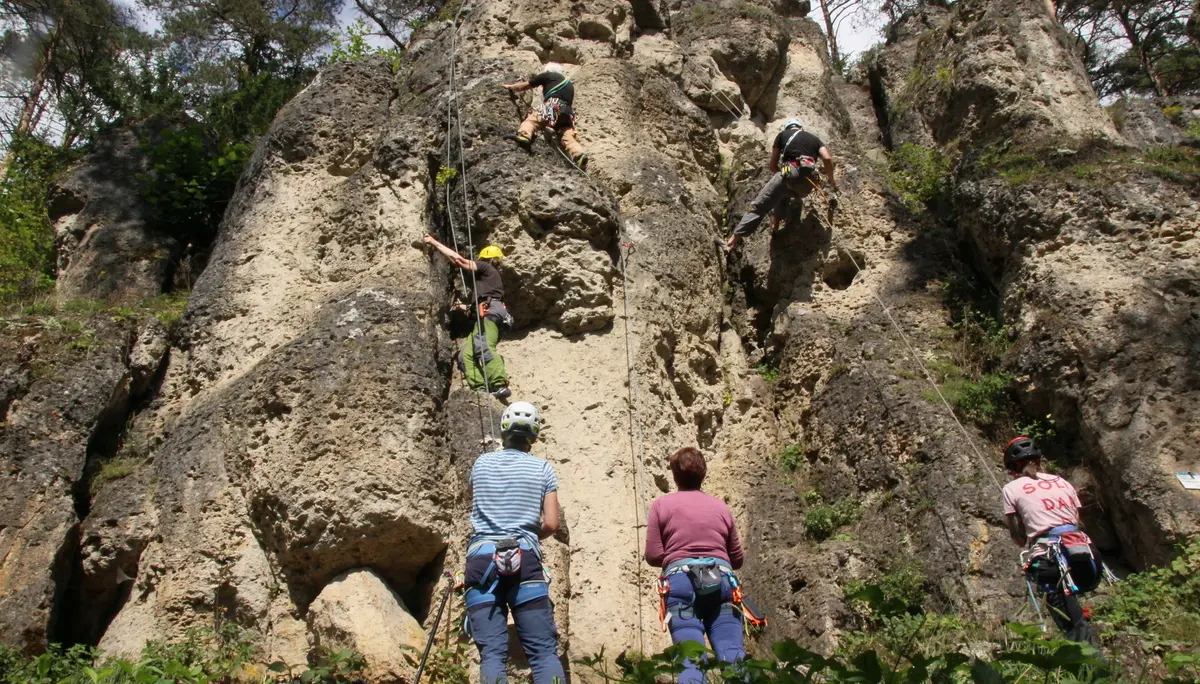 Abb. 1: Treunitzer Klettergarten | © Jana Müller
