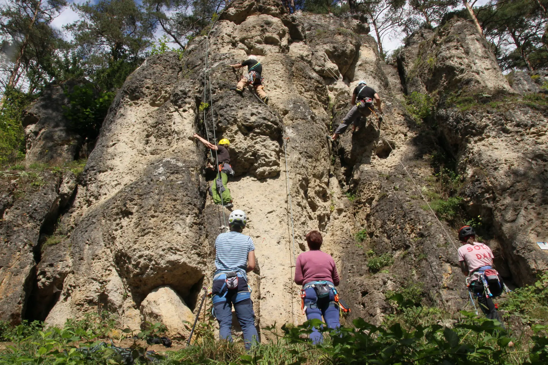 Abb. 1: Treunitzer Klettergarten | © Jana Müller
