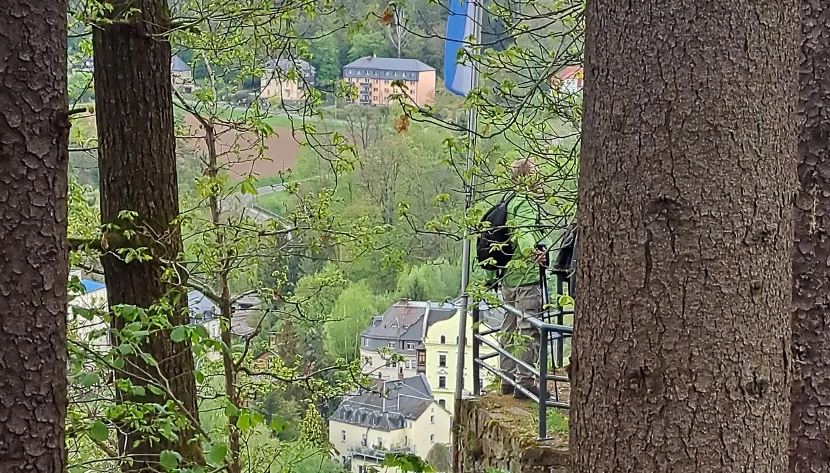 Blick vom Bach-Goethe-H-Hain | © Karl Lämmer
