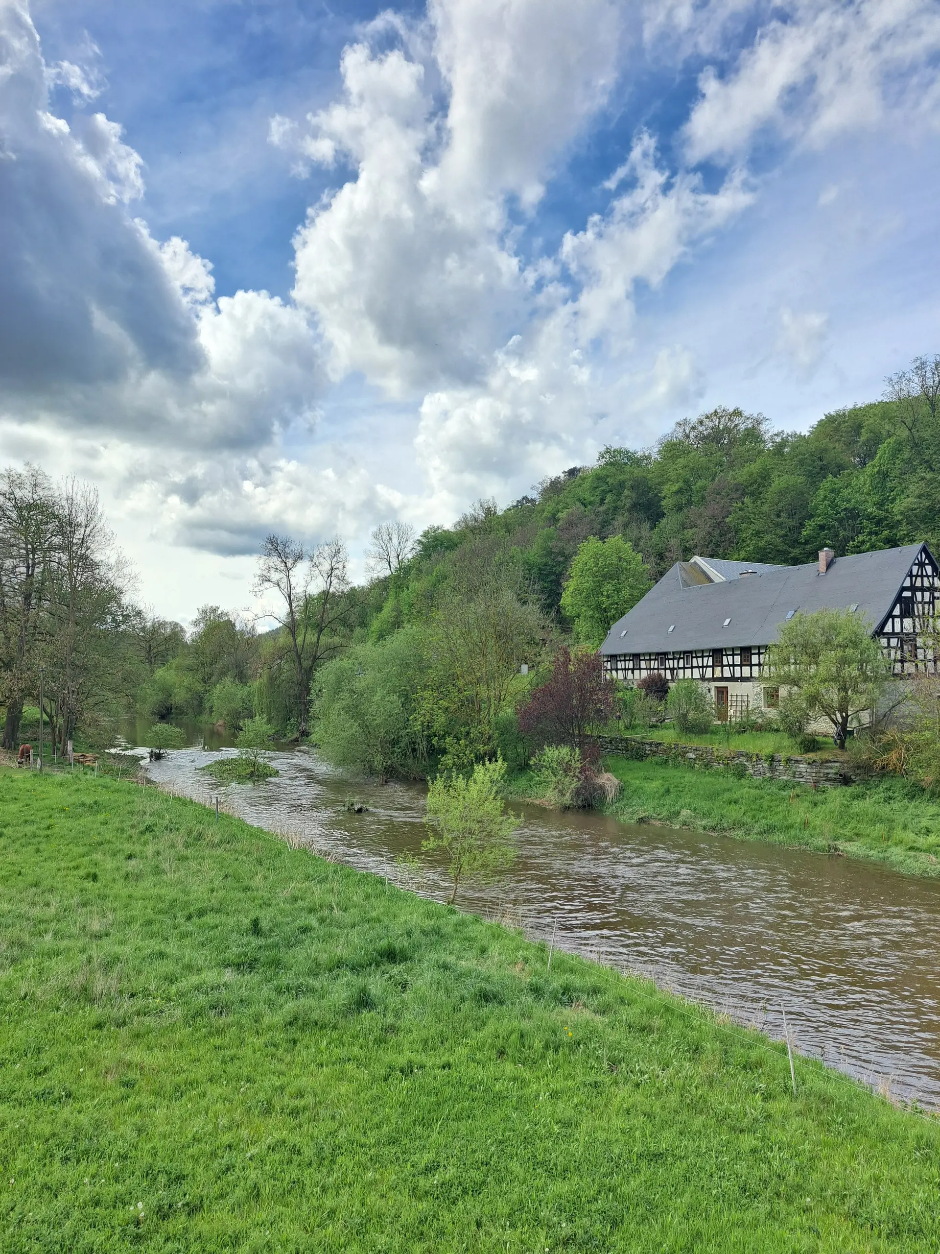 Elster bei Rüßdorf | © Karl Lämmer