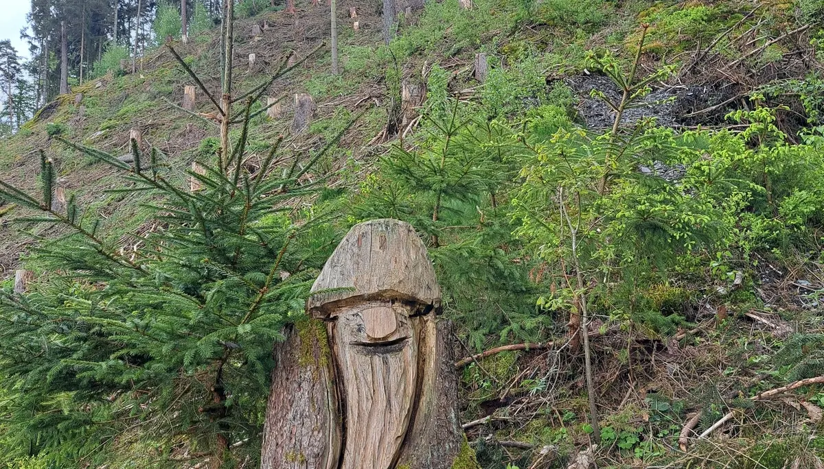 schönes am Wegesrand | © Karl Lämmer