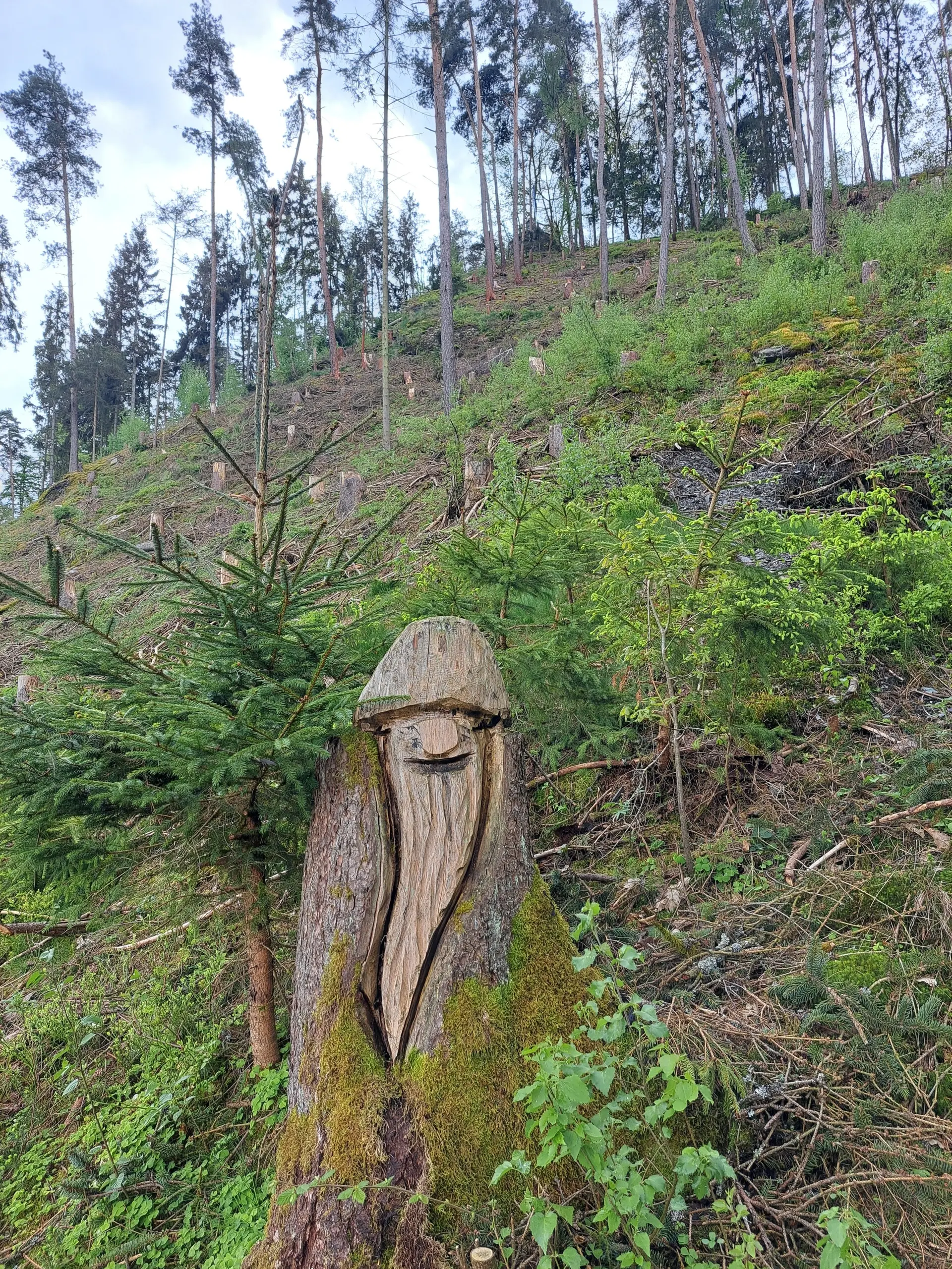 schönes am Wegesrand | © Karl Lämmer