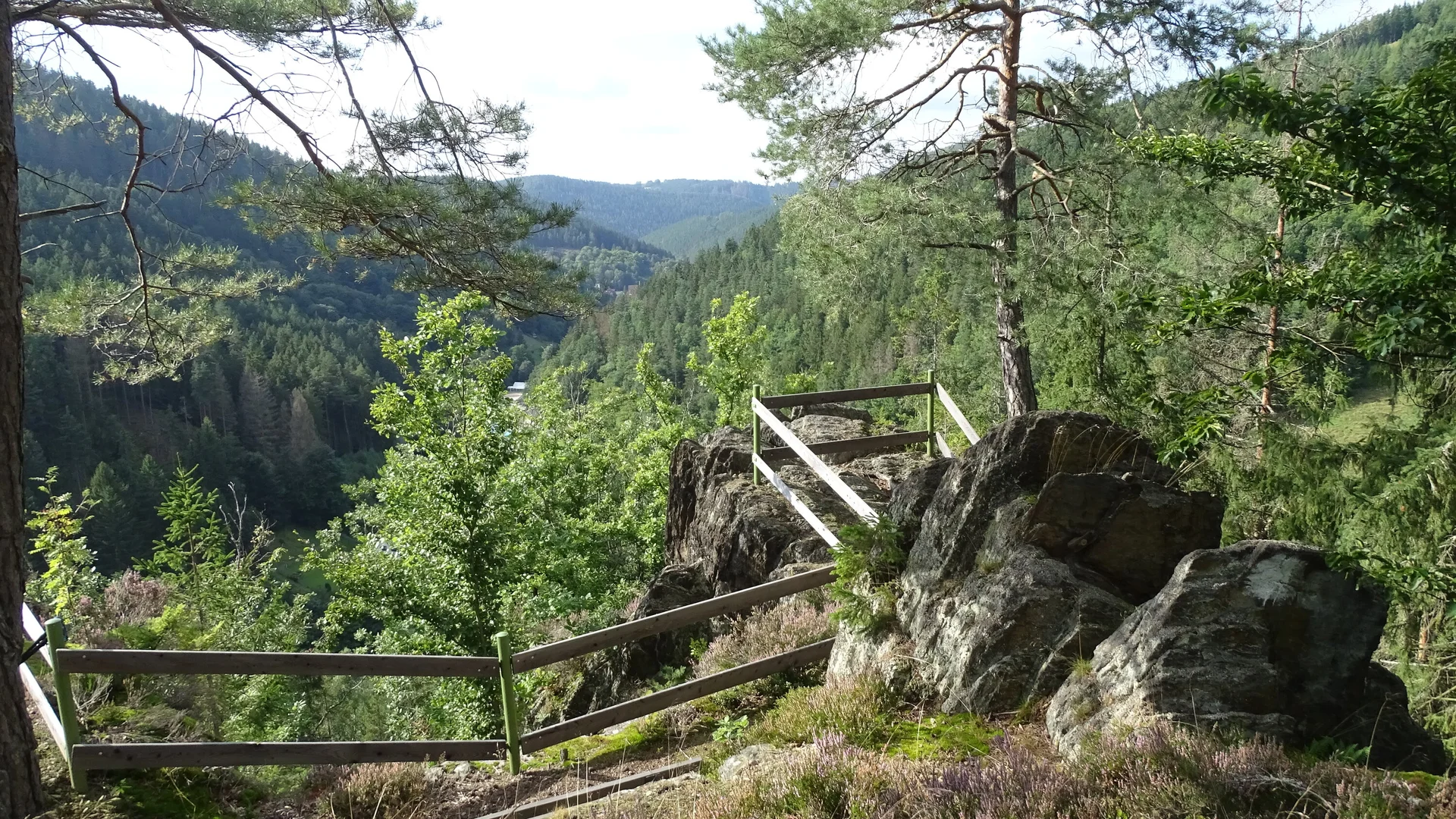 Gabriele Henne | © Gabriele Henne