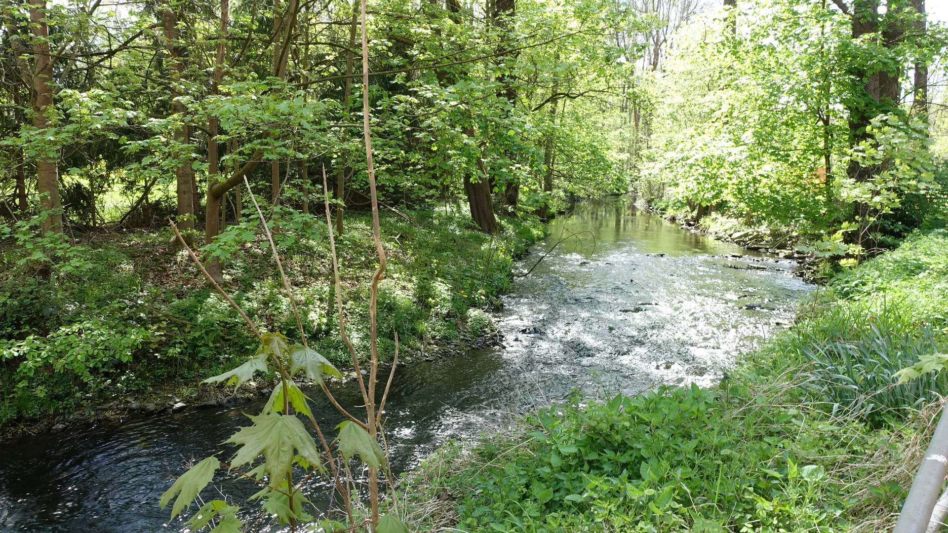 An der Auma | © Gabriele Henne