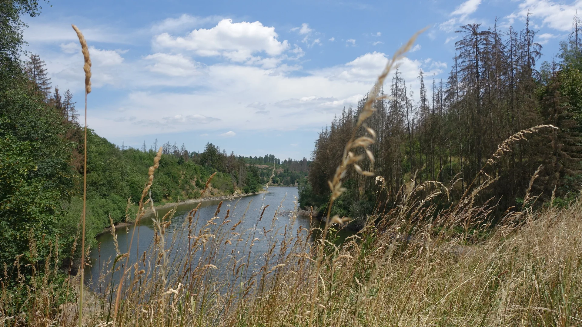 Am Bleilochstausee | © Gabriele Henne