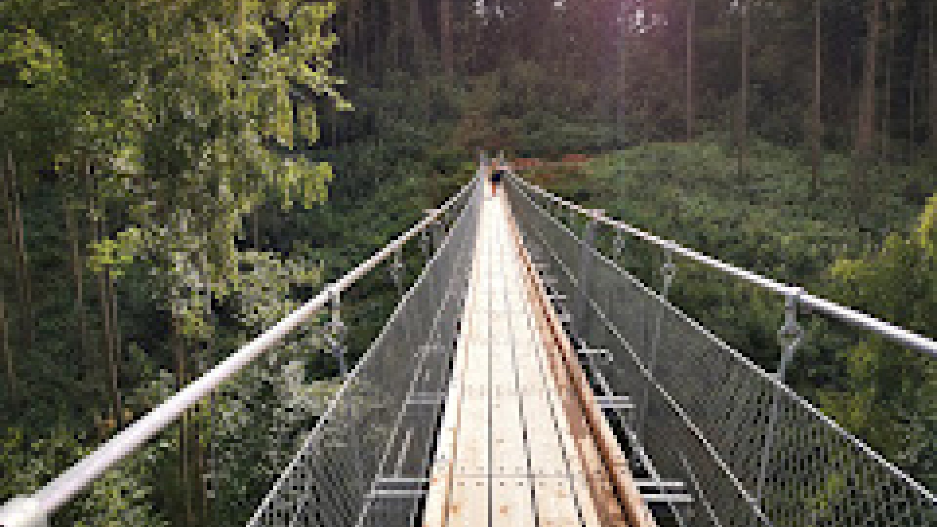 Bärentalbrücke in der Hohen Schrecke | © Internet