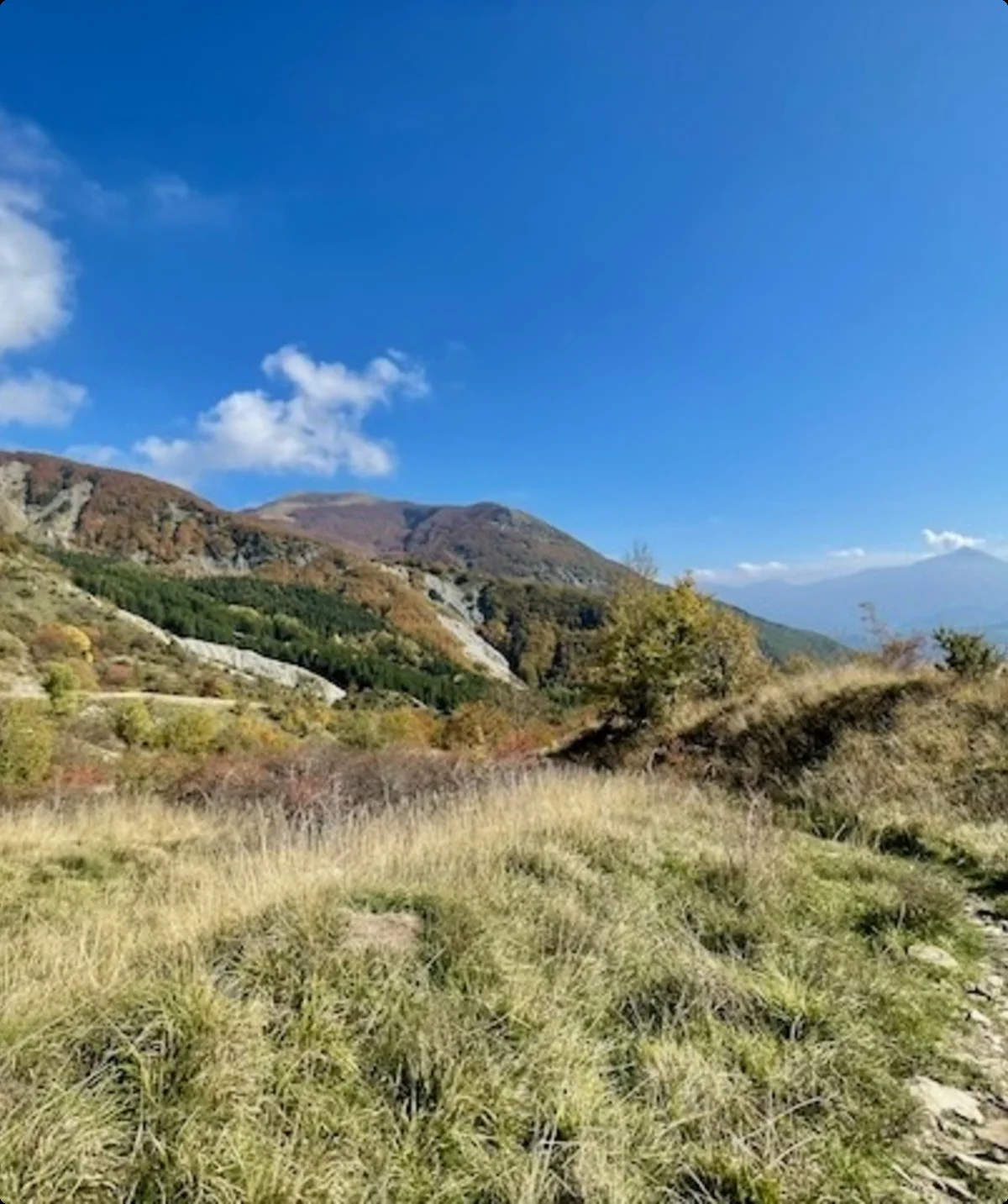 Apeningebirge | © Markus Gleichmann
