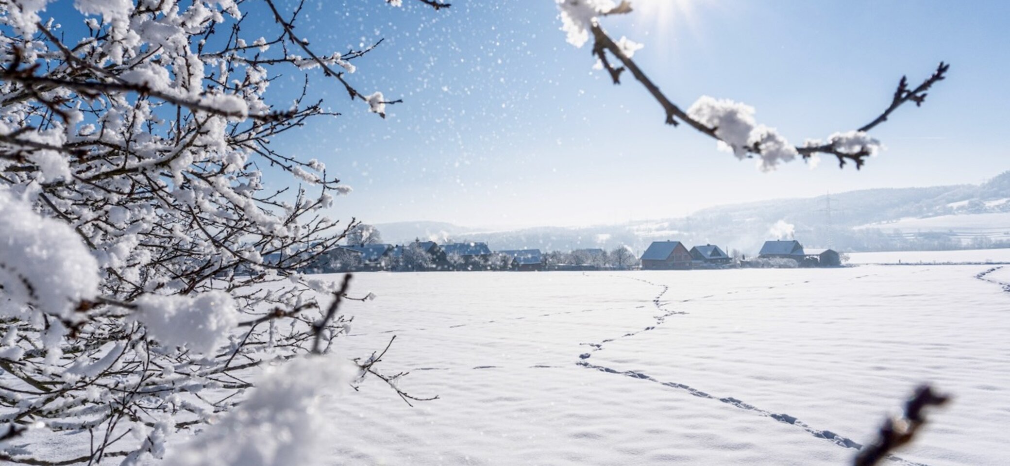 Reinstädter Grund im Schnee | © Markus Gleichmann