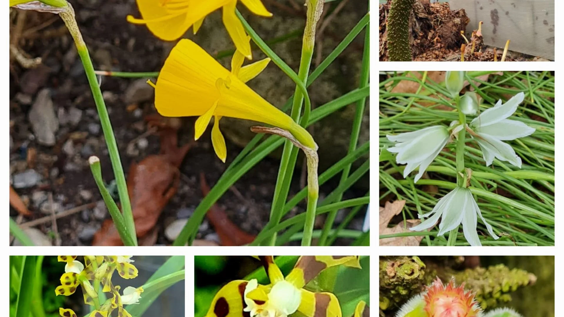 Im Bot. Garten Jena | © Marion Proschmann