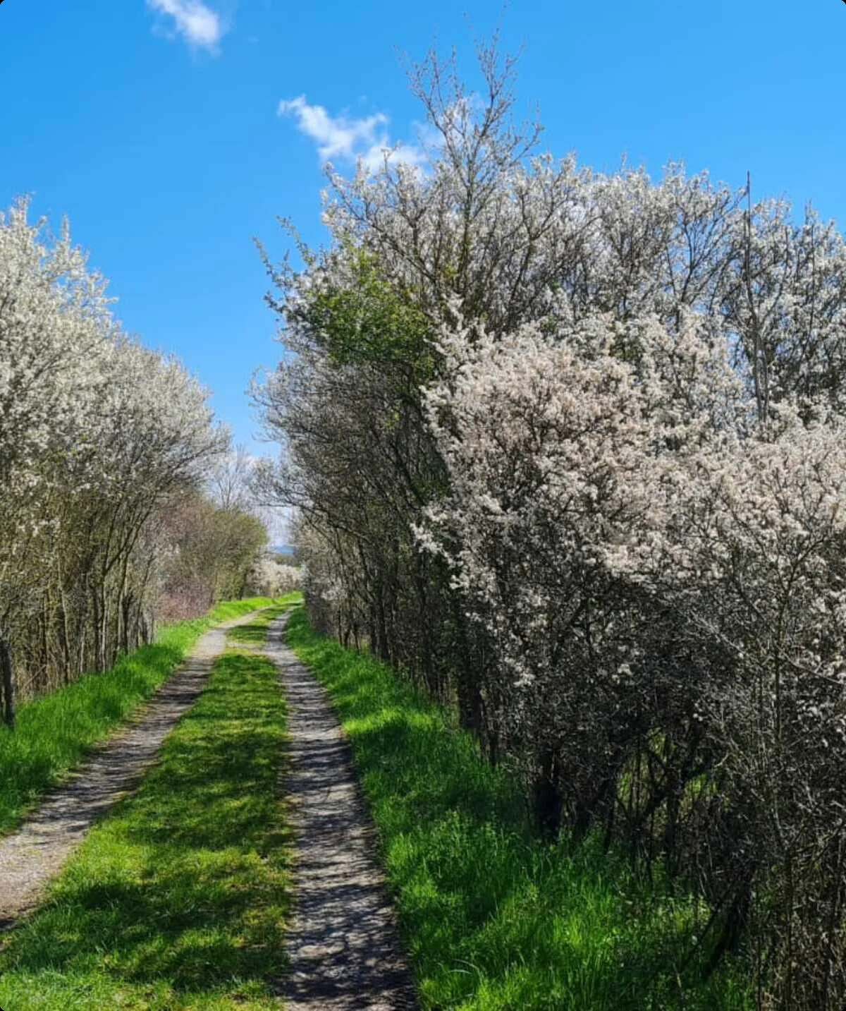 Im Leutratal | © Marion Proschmann