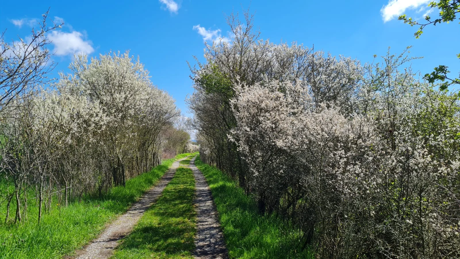 Im Leutratal | © Marion Proschmann