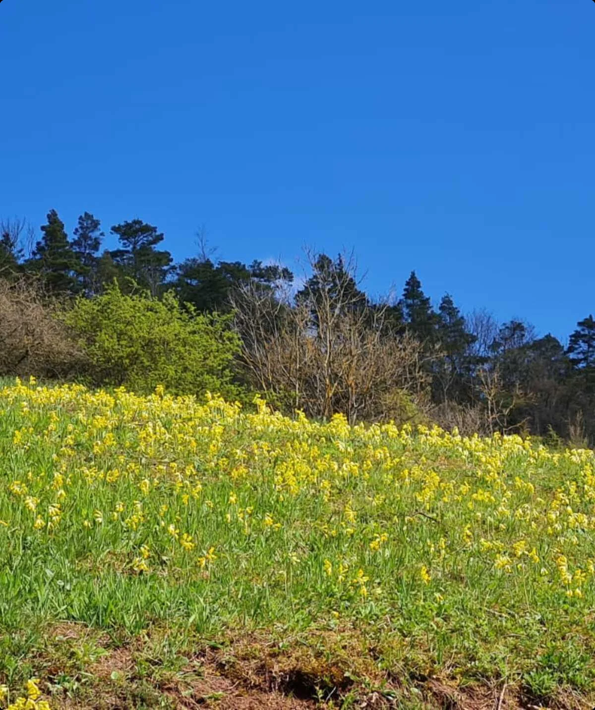 Im Leutratal | © Marion Proschmann