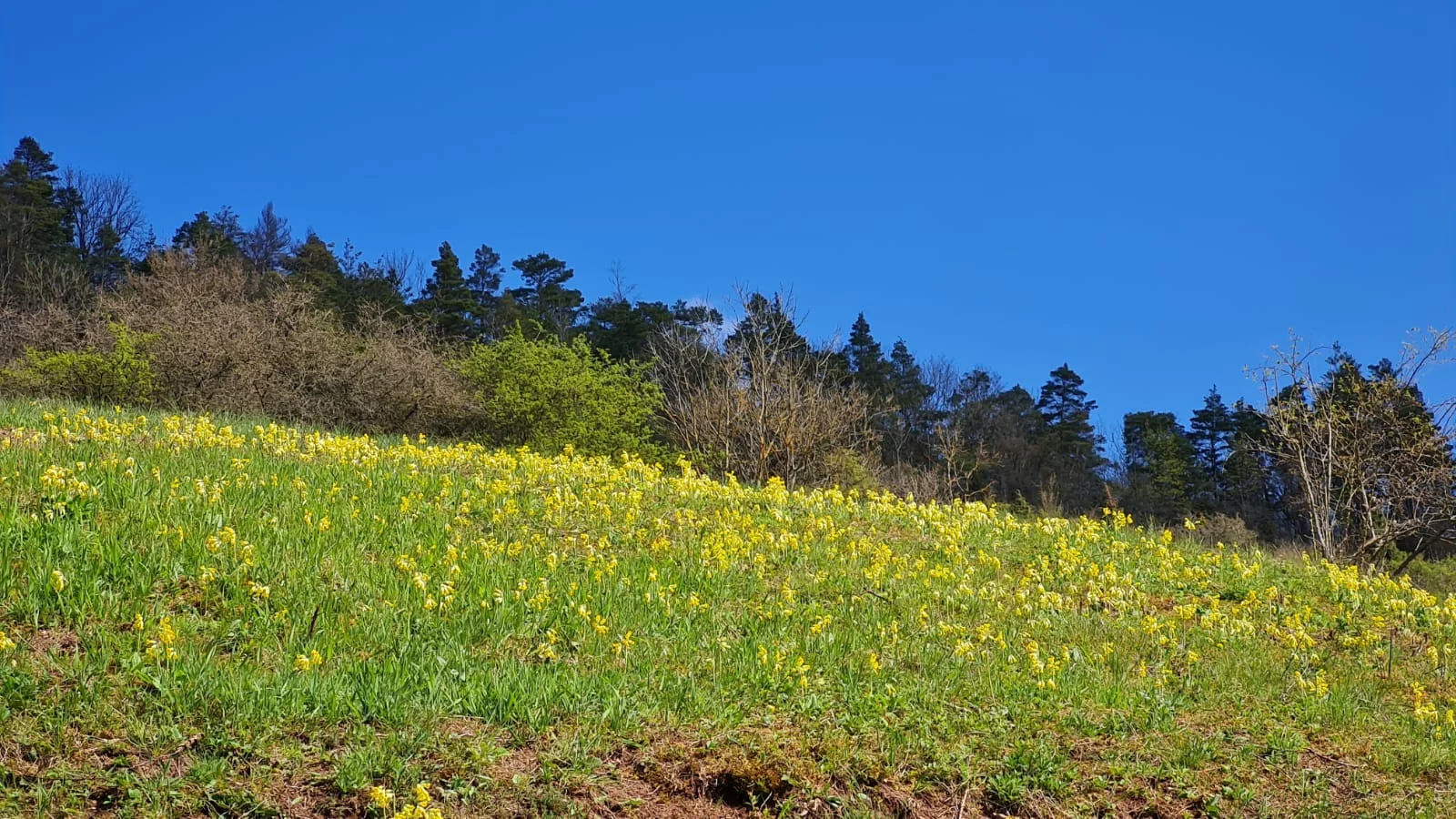 Im Leutratal | © Marion Proschmann