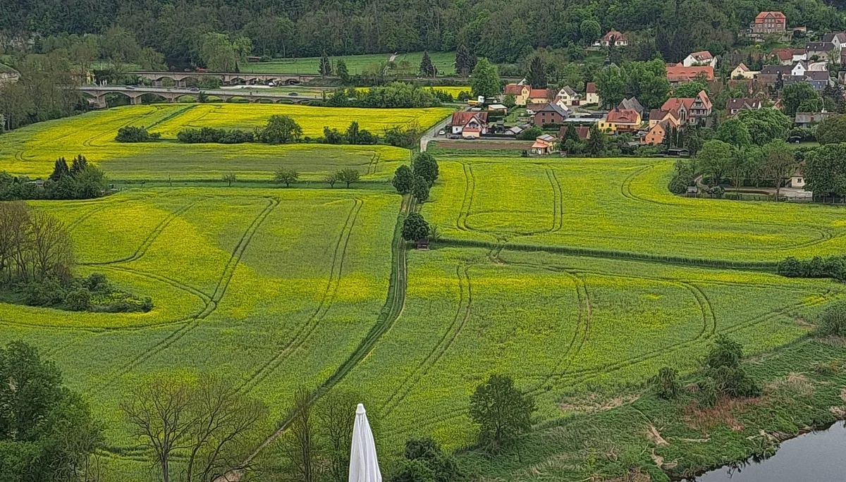 © Karl Lämmer