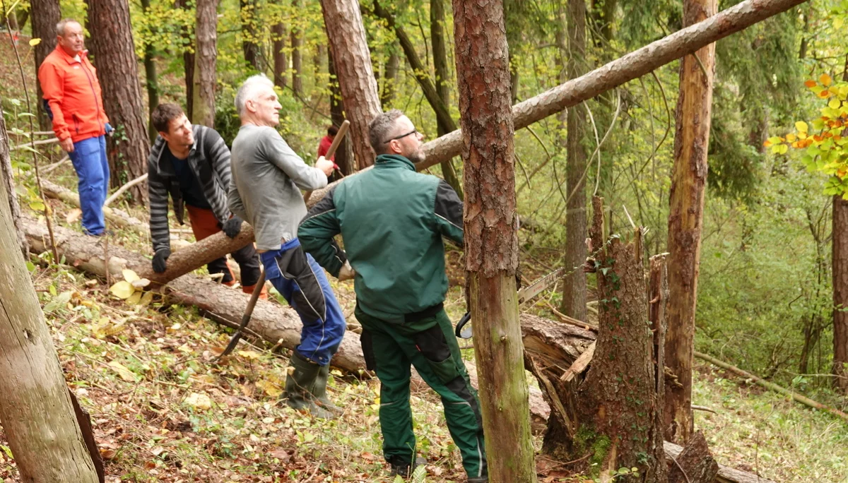 Alle konzentriert bei der Sache | © Gabi Henne