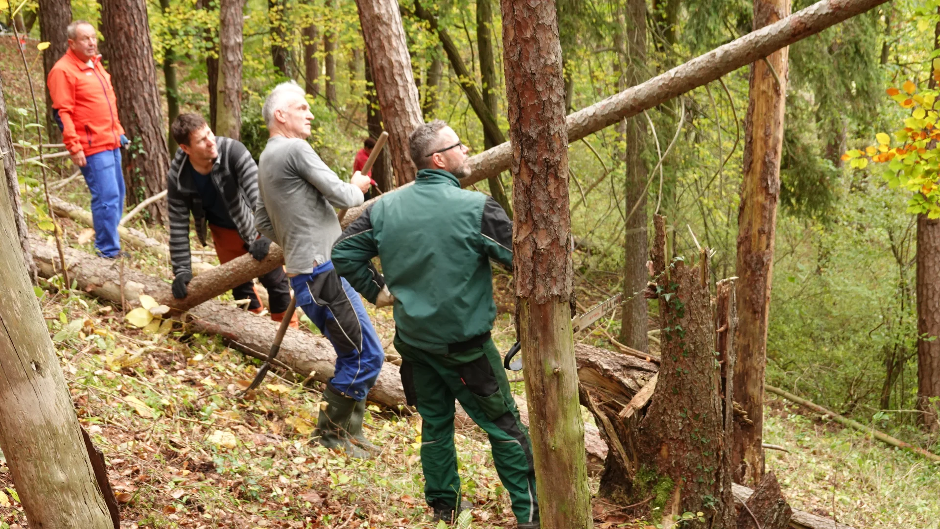 Alle konzentriert bei der Sache | © Gabi Henne